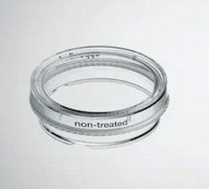 德國艾本德(Eppendorf)Cell Culture Dishes, 35 mm, 無菌、無熱原，無 RNase和DNase，無人類和細菌DNA。無細胞毒素, 未處理, 3.0mL, 300個